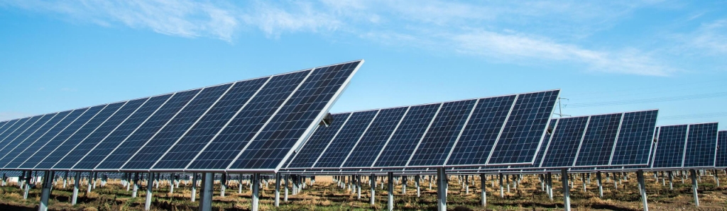 men work in a solar field
