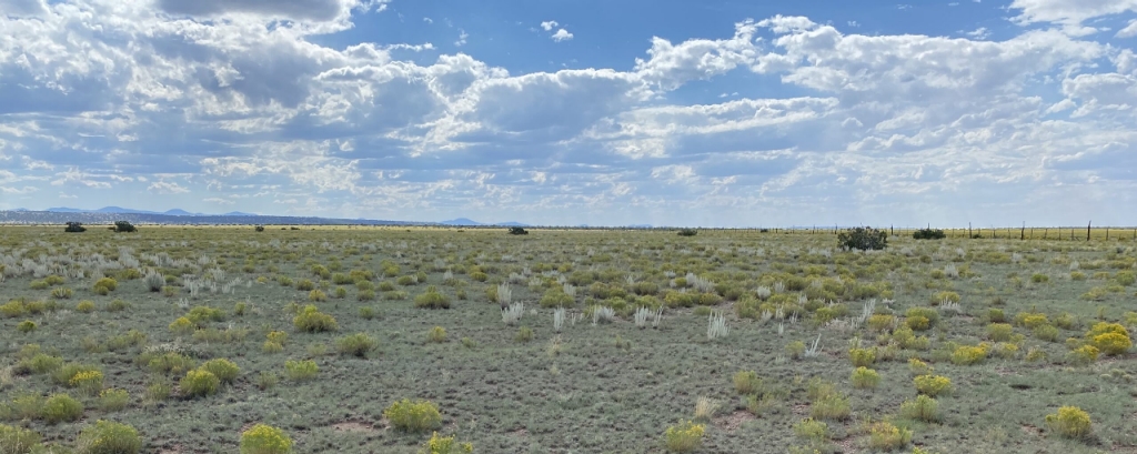 arial field