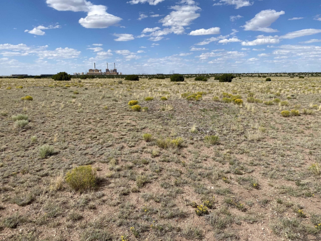 arid field